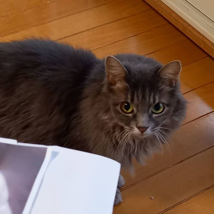 92f5d95a caed 4b92 bd43 1055b325ebfe 1635194309932