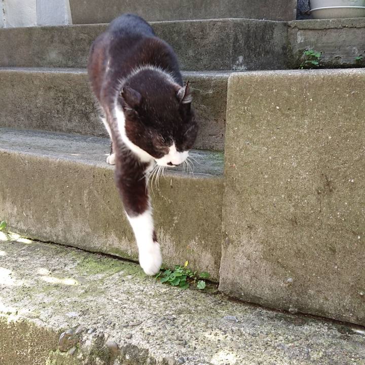 92f5ef36 3849 4b9c 8d26 dfc5d6ce2e34 1683272303951