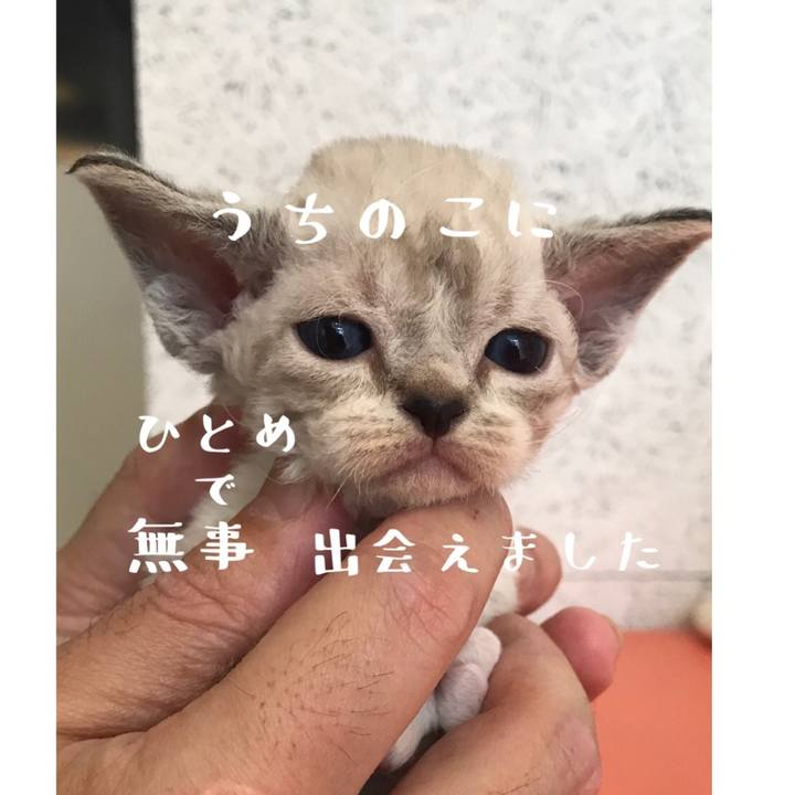 92f632ca 253e 4942 b8fe 158e3285a14c 1585991629845