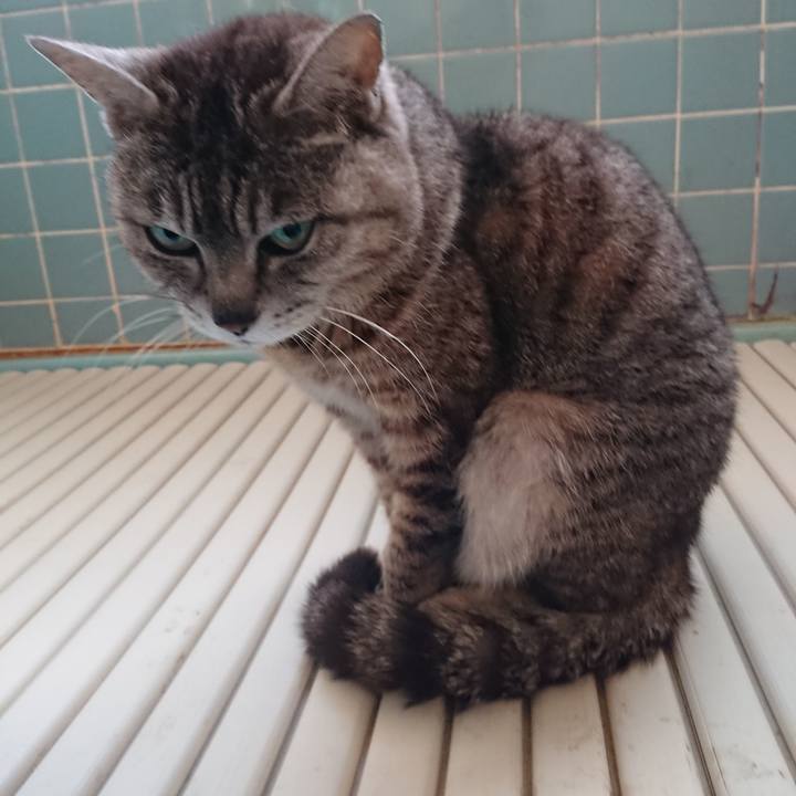 92f64f49 ab99 448a 9ec9 b9c4ed07e542 1560802201666