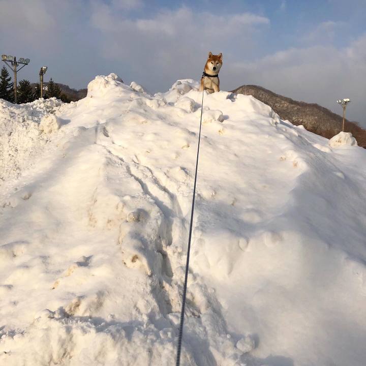 92f65399 6c89 46c3 a927 3a4bb76d623d 1579660021857