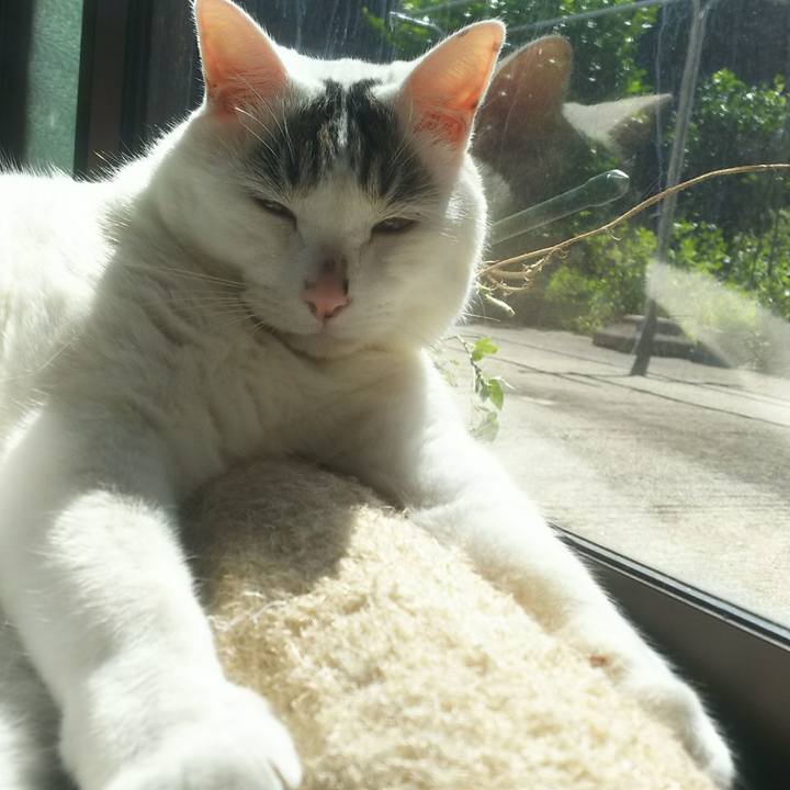 92f67259 d6c5 475c ad69 9a28c1b13255 1538792297000