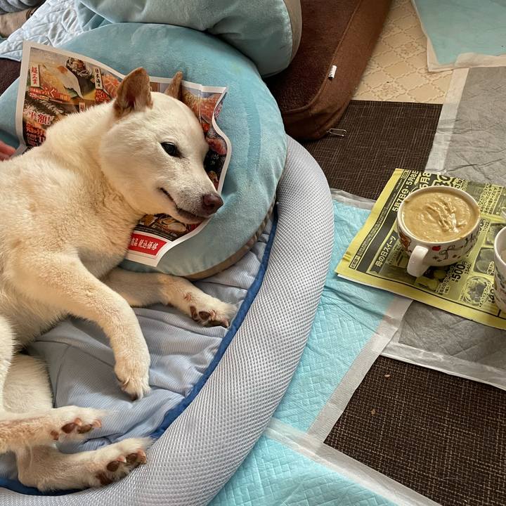 92f6941d 427a 4d9c 86e4 03665676e142 1654099166826