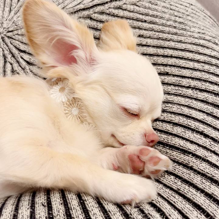 92f6bb6b 3dbc 4551 a880 938104739428 1689645455815