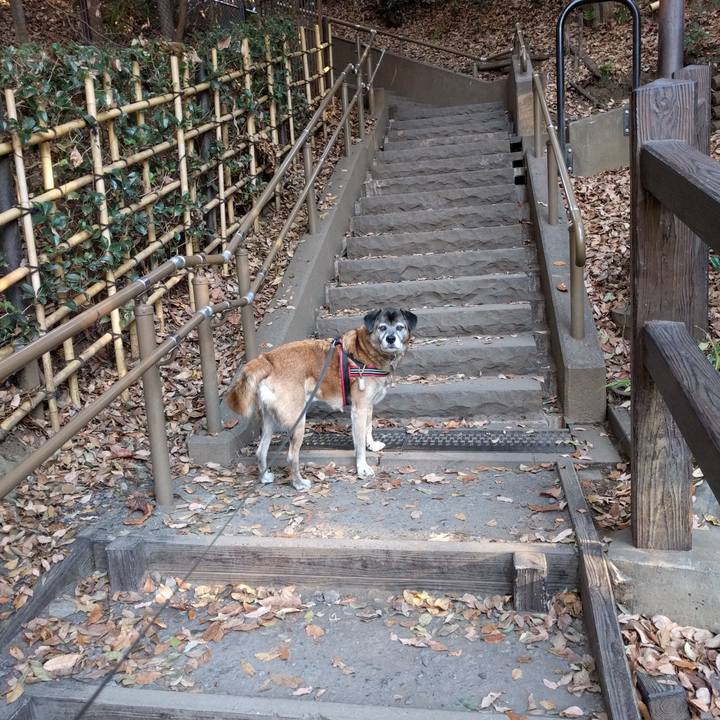 92f6f40f 4658 4294 8d6e 045308e6158f 1513559088809