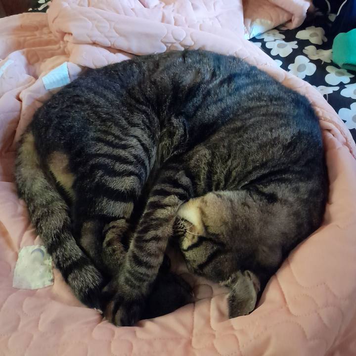 92f6f87b f793 46a2 96c9 5bb4dfaf50dc 1773016434733