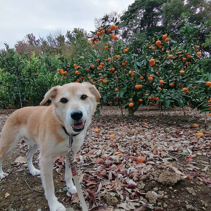 92f6fbd7 2070 409e 916b 2d24cad5748d 1606197561348