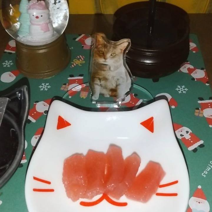 92f6fdd2 600a 4b1c bcdb 0dcbb747cb20 1731741612069