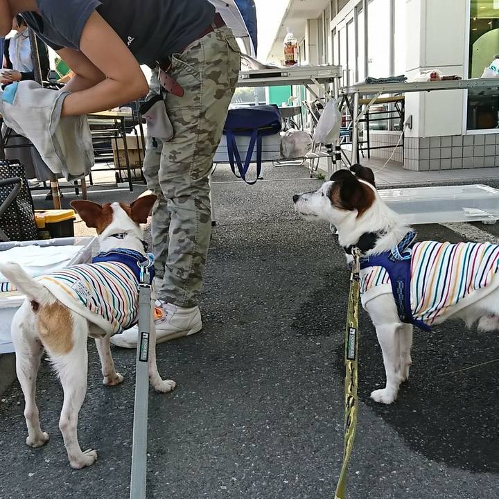 92f717ae a8c1 47bb 93d7 086df0f913d2 1527412164476