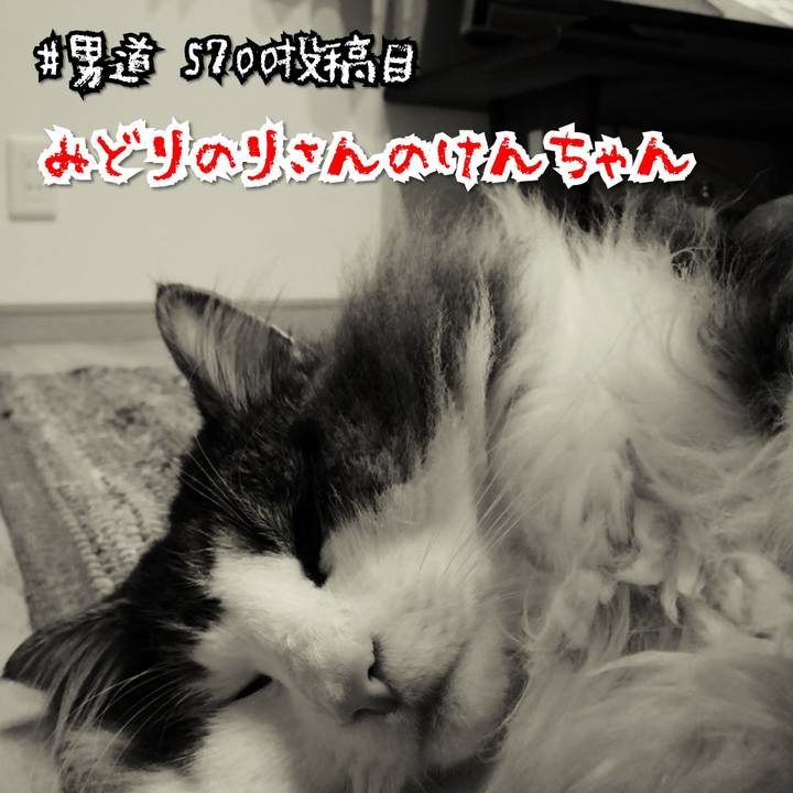 92f72d8c 704c 4a3a 80a4 cfdf985dbb8f 1584166403508