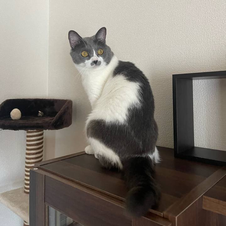 92f738ae 2145 4c06 9aaa 503a016a3409 1664173514040