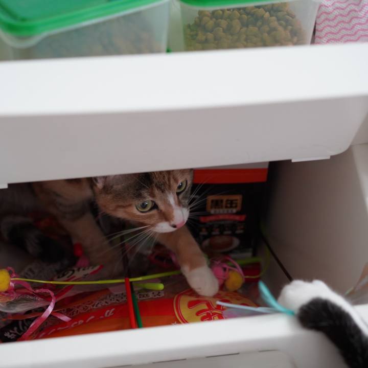 92f79ed8 8099 4f1e 910e 418da3db46bc 1619483464573