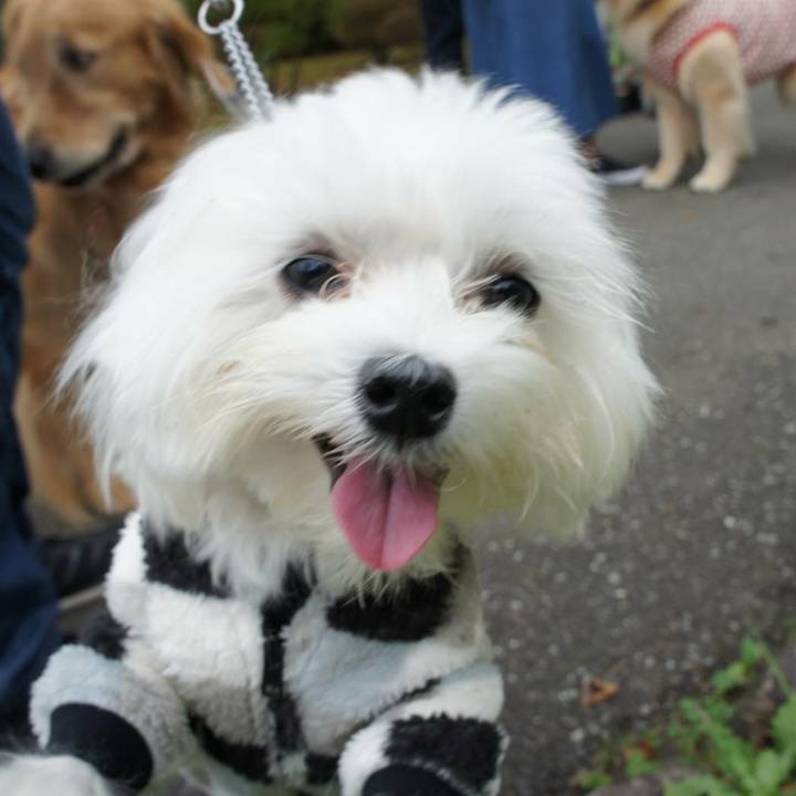 92f7ae65 c4e9 4b79 9eae b20f431a4376 1572655620631