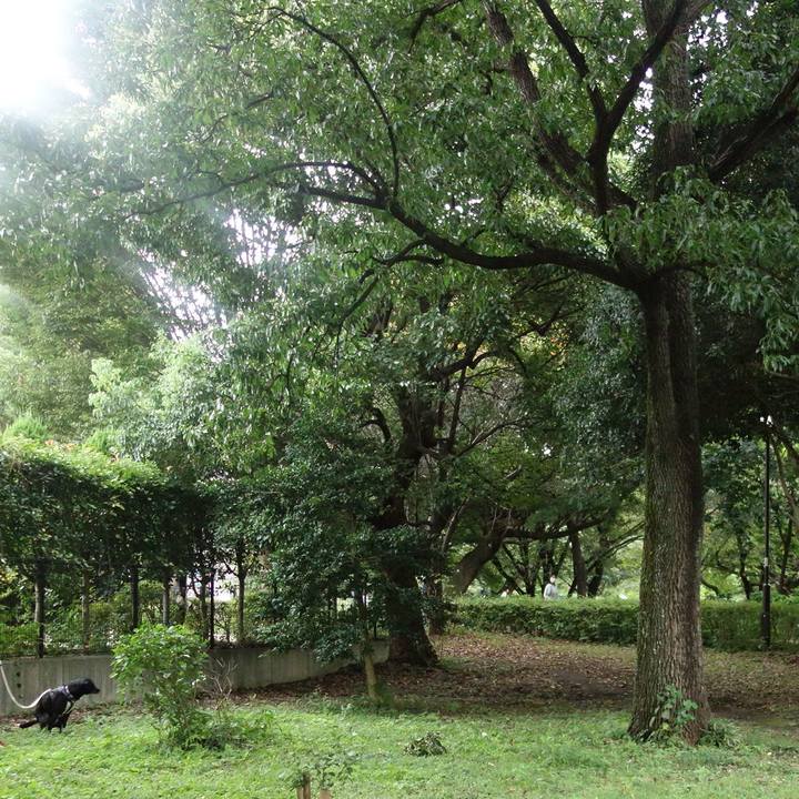 92f7ca6d 65a5 4df6 8723 f75f5cf7c5ab 1663805024217