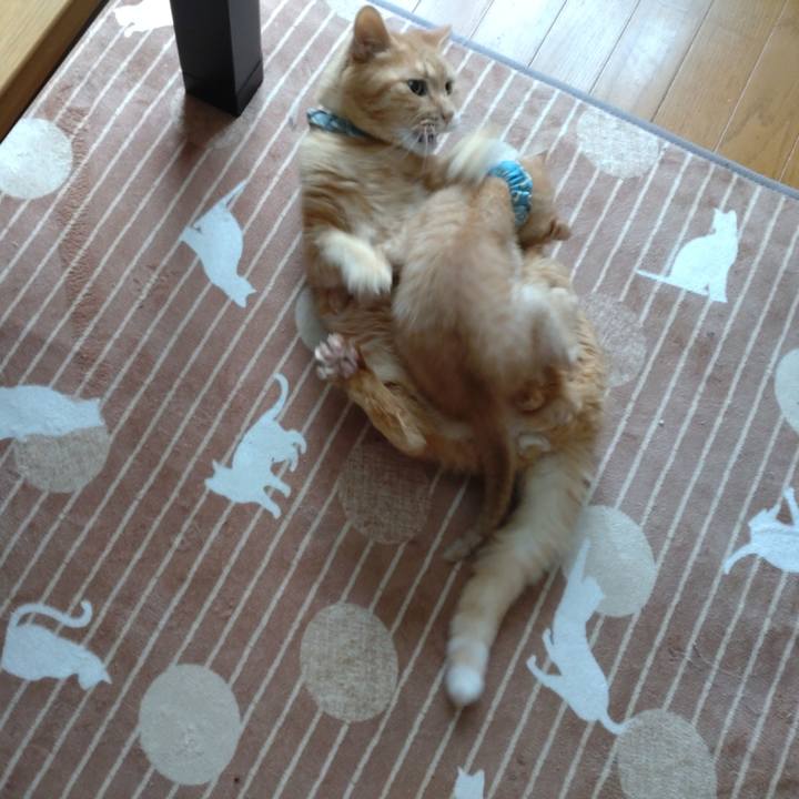 92f7f520 3bdf 486b 9842 c4f43f818f50 1670638882448