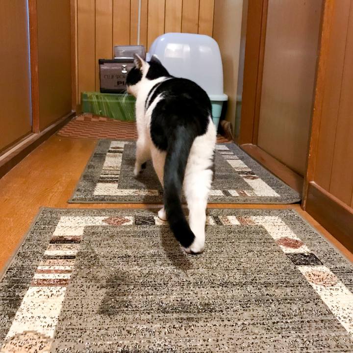 92f83e2d bef5 46e4 b626 a3dd19d74fa8 1514077183166