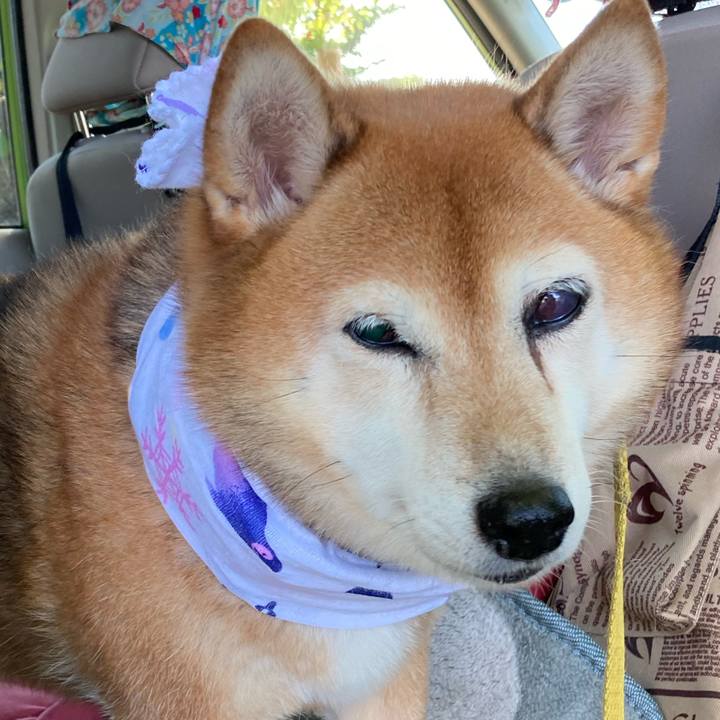 92f89896 27f3 429f b6ed cf7afb8d52d3 1659438543104