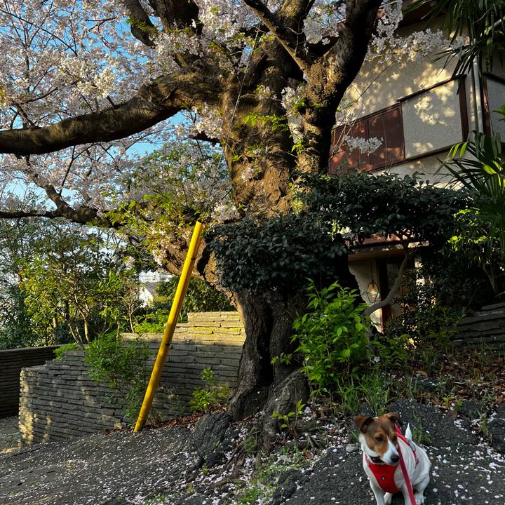 92f8b241 5b02 450e 854a 469d647937ff 1744156685681