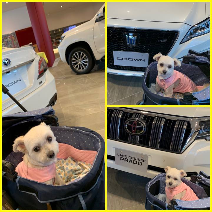 92f90ac2 25a6 44ff baa8 adc976a1fdb5 1594454937865