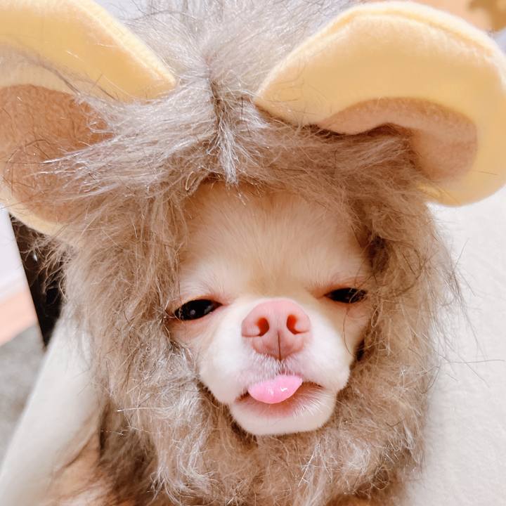 92f93eb4 3556 493e 813c 914187a0730f 1662534229746