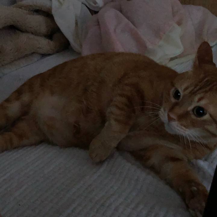 92f9435b 5ed2 4fda 8519 a0f4eb703a7a 1644242151248