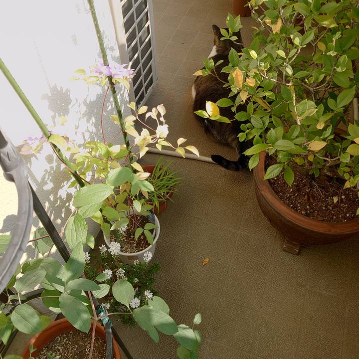 92f943a3 9e59 4e78 beb8 32b9ee217388 1588291455278