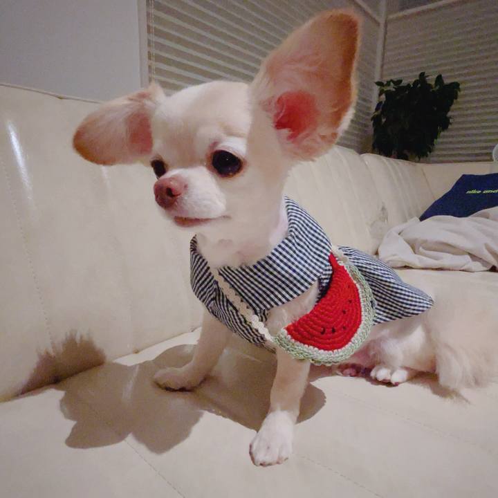 92f94bae 37bc 49cc 852a c66a6398f300 1755860528216