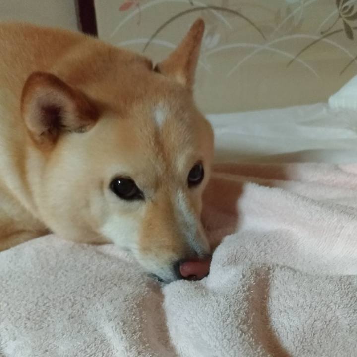 92f9575f 67b3 4905 a1d6 b7ac209377a9 1565267244848