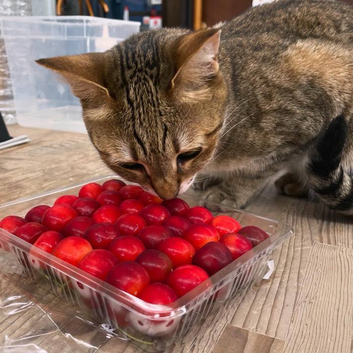 92f957a1 a00d 4e7d b852 f564e8173ae1 1719028880034