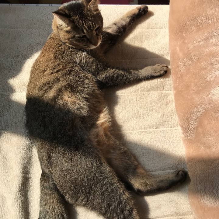 92f960f8 fac8 4df5 b126 ef0ca0e68605 1550986395323