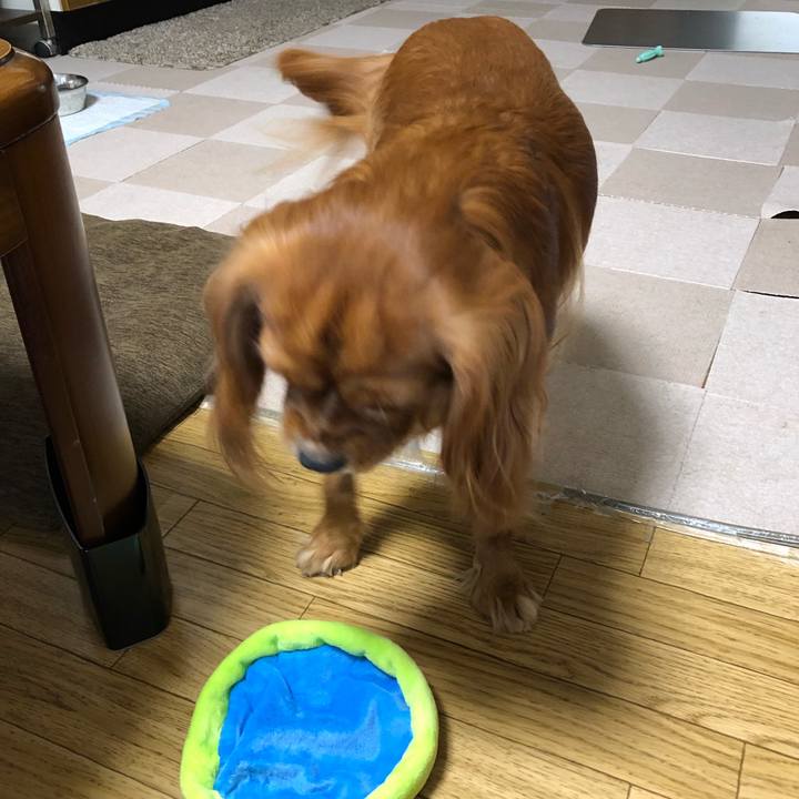 92f9a0da c762 4c3a 8e8b 90dd96dbe79d 1535580813894