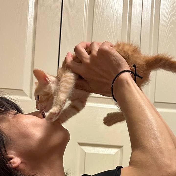 92f9ab70 335b 4fa6 9bb3 e712bb9966f1 1686658509281