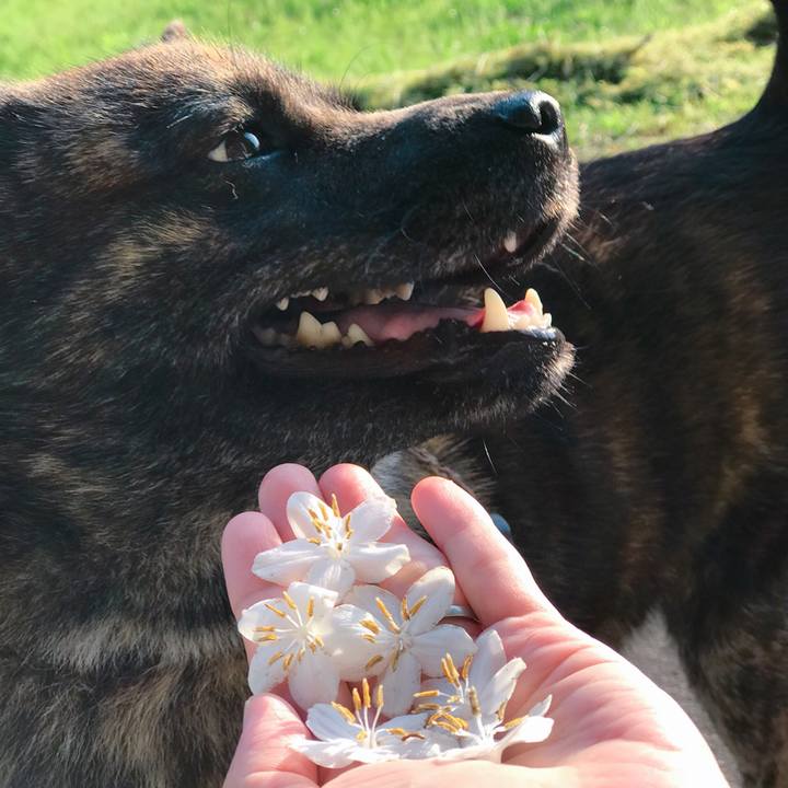 92f9b005 e3e7 490d acc4 049130b2a0b8 1528152470326