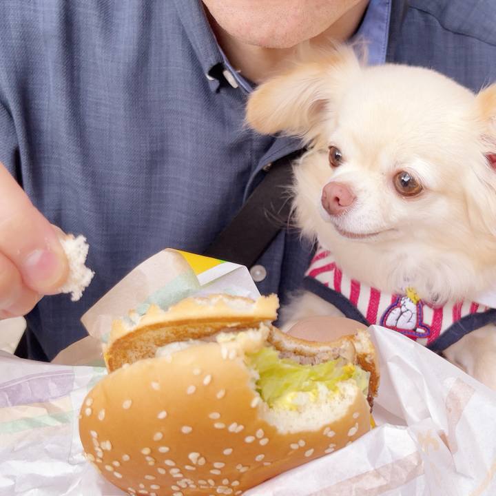 92f9bc76 f2ac 4af7 87cd 2843f0dd13b7 1749992714400