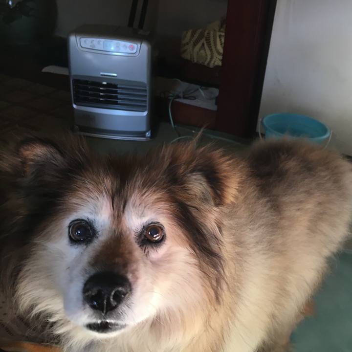 92f9dfd8 bc1a 467a ba4a cca8c42ee250 1583516511271