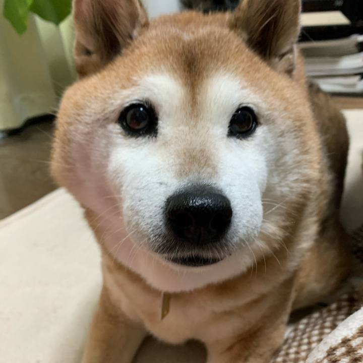 92f9eb69 0d00 4ca3 91e3 b7b2ebd0f716 1574414185279