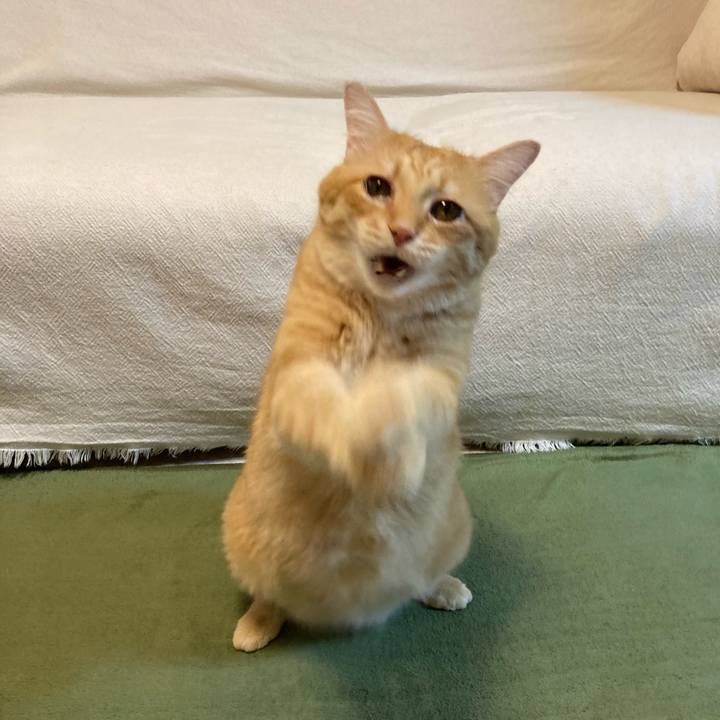 92f9fe34 d197 4366 8af4 7a3ae875617f 1764418439858