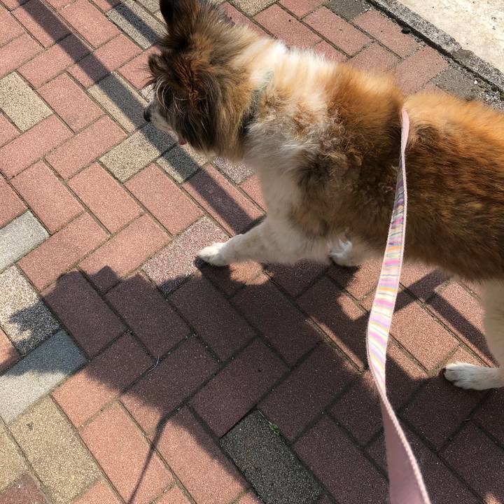 92fa2d54 4b5b 4732 8b45 324f4ad882b8 1531701591688