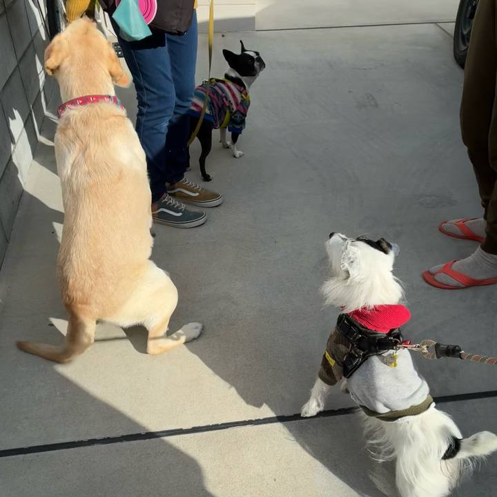 92fa4035 d3e0 4aad bb0d 185b4e35f3d1 1764983467998