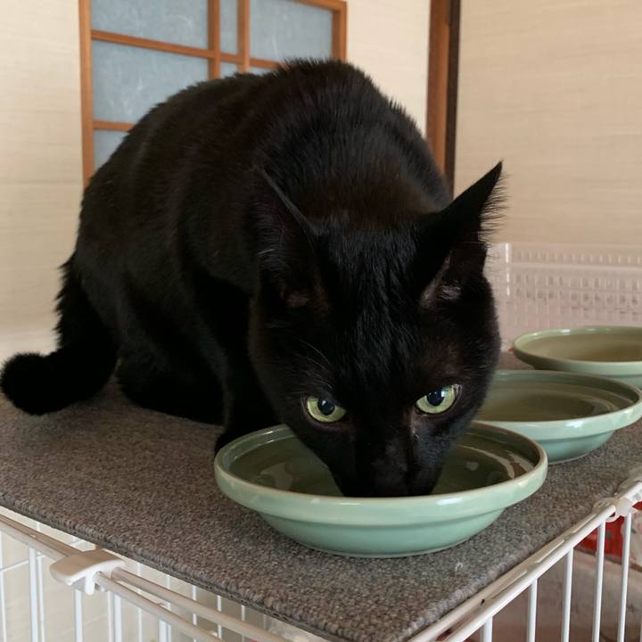 92fa44ae 5cf3 4ad2 ad01 44ff3f19a043 1554687474704