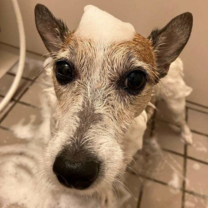 92fa468f 60f3 4542 b518 05a654ee5cee 1692055424268