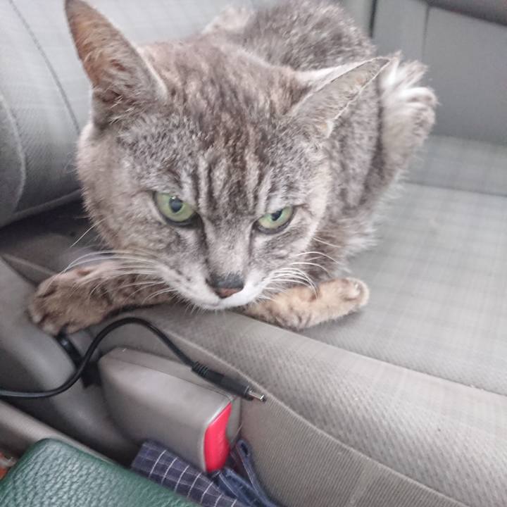 92fa5e01 817a 4838 949c c4e257888a0e 1596876219180