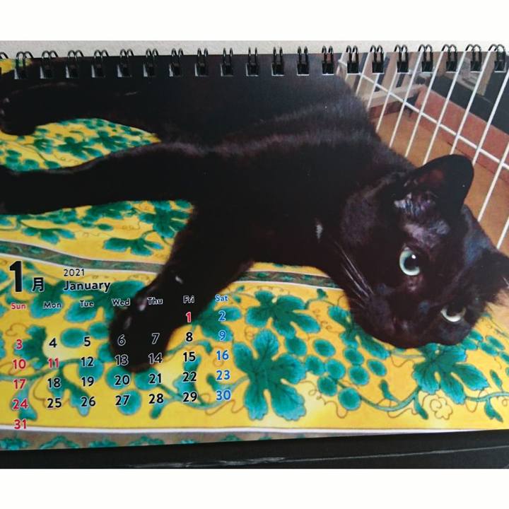 92fa8992 46bf 497d af23 d34dde040117 1609468384864