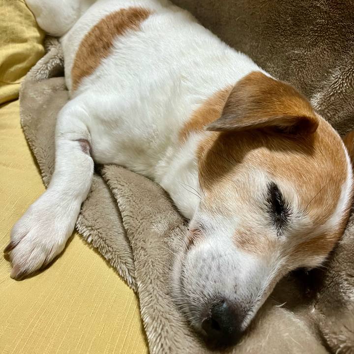 92faabff 487d 47f4 97d3 45e9601ee498 1700911730882