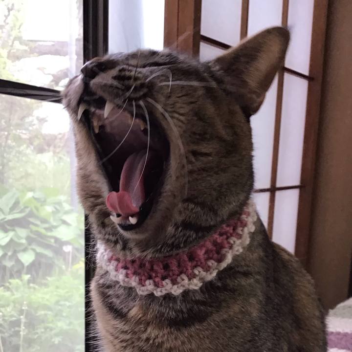 92faf3f3 2cc3 4219 adf7 6eae0c2cc220 1650782052385