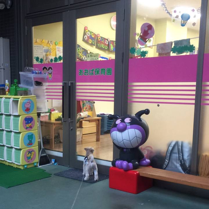 92fb0554 f070 46da 917f e76125c5857a 1533291822786