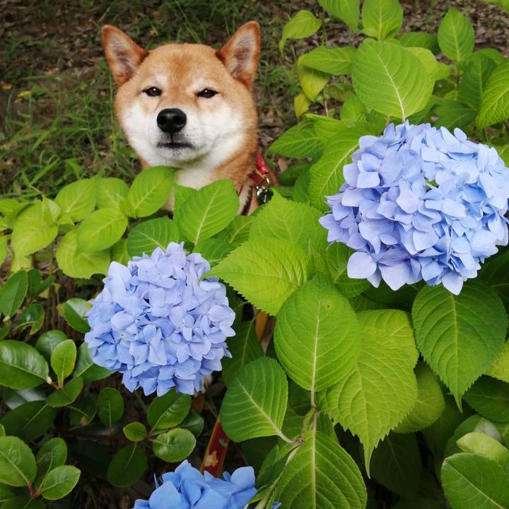 92fb103a ffb2 40b9 81ff 8e0aab8f828e 1591573591345