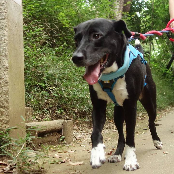 92fb415d 25cc 4d01 9c5a 7749eb572121 1630110196721