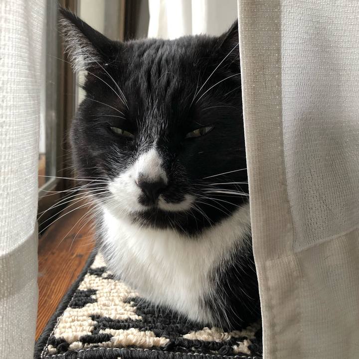 92fb41c9 c398 49a1 a6d5 7c73345555bc 1556615636337