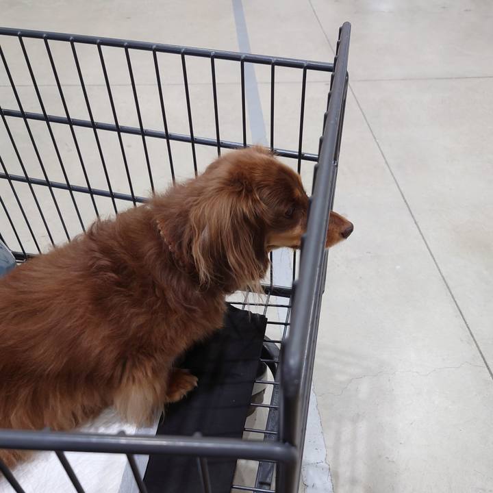 92fb6fbc ed72 4c3f 8613 29f85f5eccff 1700288320946